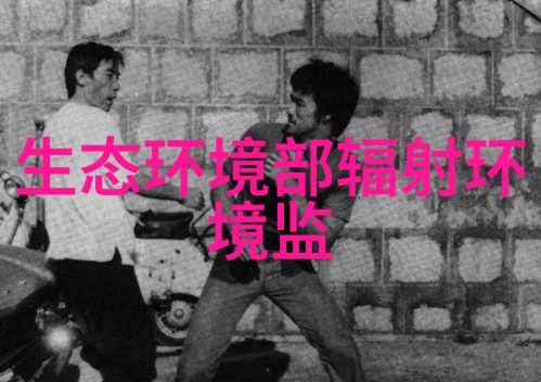 结构噪声中低频噪声污染的环境监测