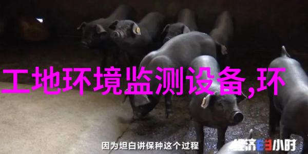 广西打通信息孤岛 重构政府企业与公众关系